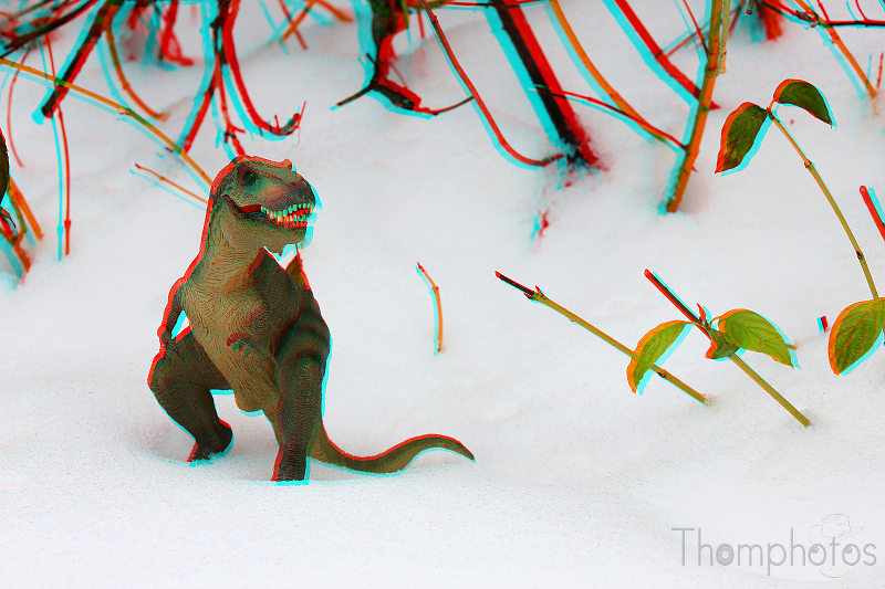 3D anaglyphe lunette rouge bleu cyan dinosaure tyrex t-rex tyrannosaurus rex rexy neige blanc