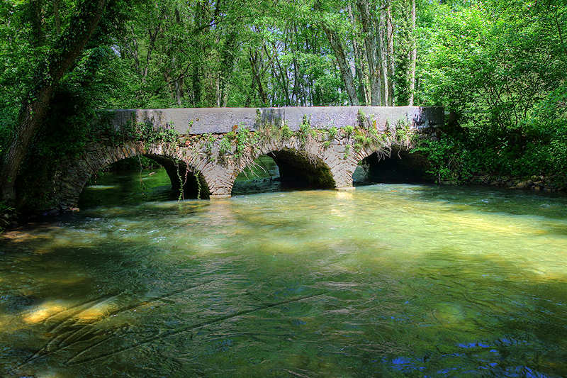architecture pont de grilly en pierres de face rivière eau
