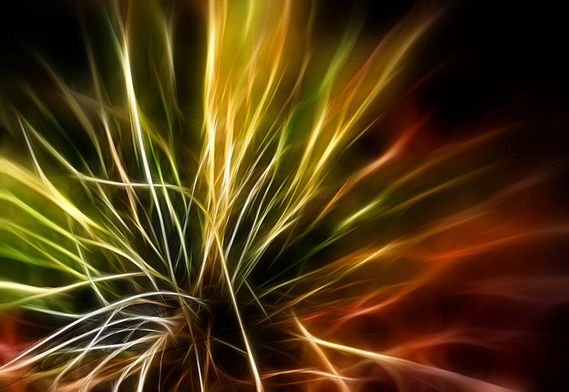 divers traitement gimp photoshop photo image peinture électrique fractalius rodilius fractales dessin bouquet explosif
