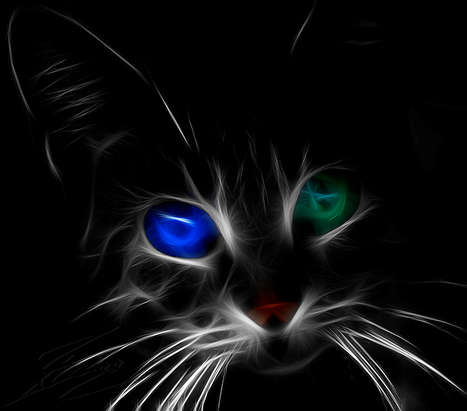 divers traitement gimp photoshop photo image peinture électrique fractalius rodilius fractales dessin chat yeux vairon vert bleu