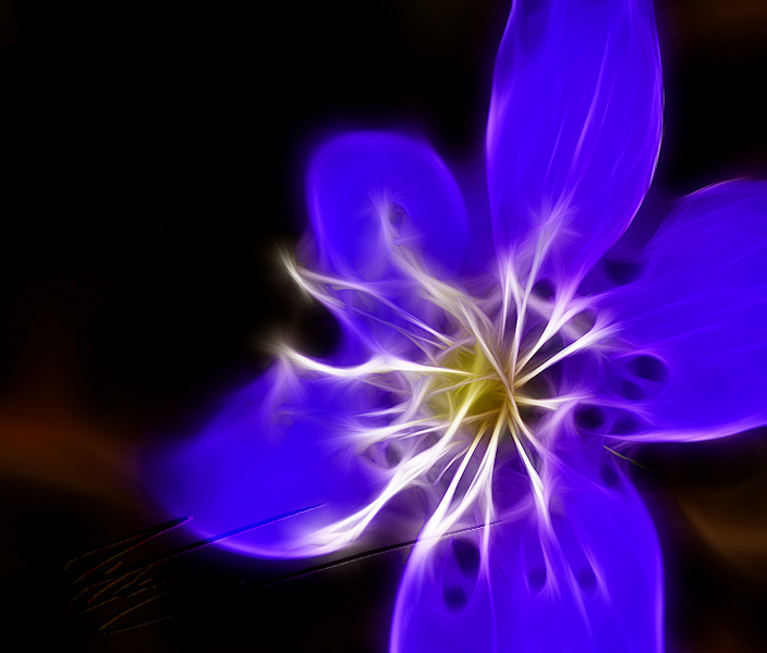 divers traitement gimp photoshop photo image peinture électrique fractalius rodilius fractales dessin top départ anémone mauve bleue violette macro pistils graine sperm spermatozoïdes