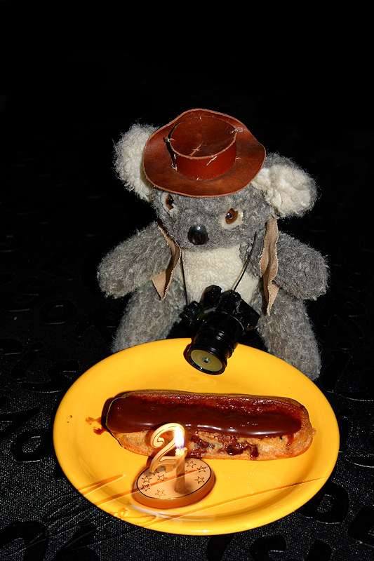 divers peluche mascotte koala jones anniversaire 2 ans seconde site et blog birthday gâteau bougie éclair au chocolat pâtisserie