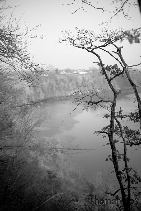 coude rivière rhone fleuve eau hauteur forêt arbre noir blanc