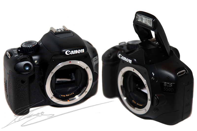 Canon EOS 550D 550 D APS-C aps c apsc review test photo porn porno camera body boitier nu