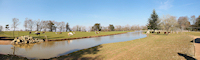 reportage 2012 bretagne sud breizh izel kenavo J2 jour 2 parc animalier de branféré france 180° panoramique paysage llama lamas boeufs watussi