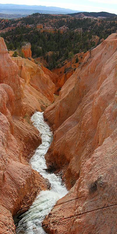 reportage 2013 usa USA Amérique america murika US utah bryce canyon pierre roche rouge orange jaune ocre red rock eau torrent montagne river