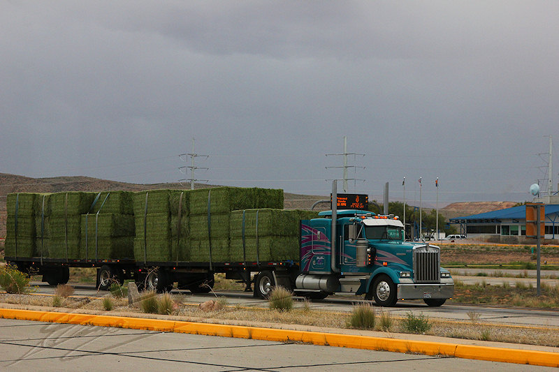 reportage 2013 usa USA Amérique america murika US utah nevada poste-frontière état arrêt truck camion 3 remorques trailers big énormes