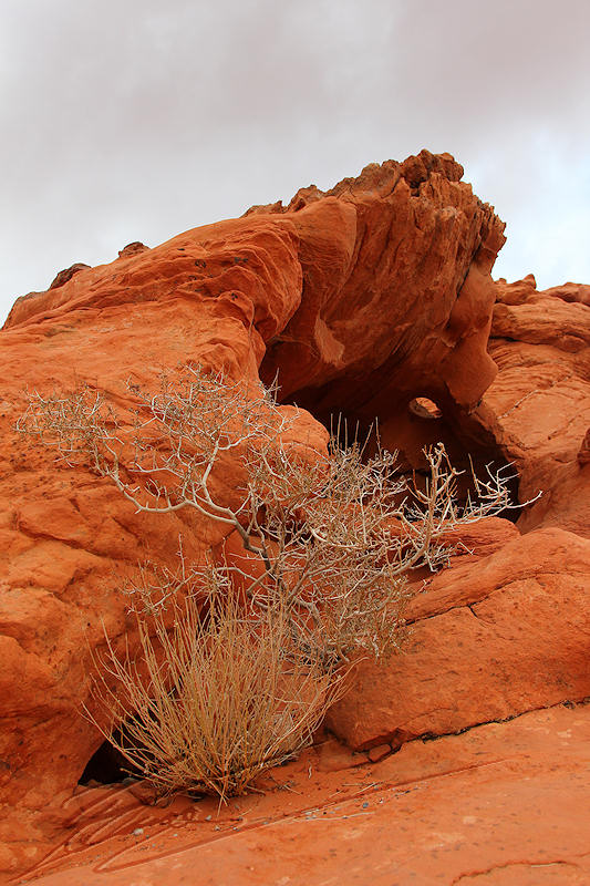 reportage 2013 usa USA Amérique america murika US Nevada désert vallée du feu valley of fire red rock roche rouge couleur color trous gruyère paysage landscape