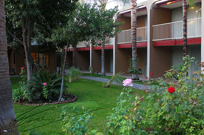 reportage 2013 usa USA Amérique america murika US californie bakersfield motel garden jardin piscine statue oasis heaven paradis