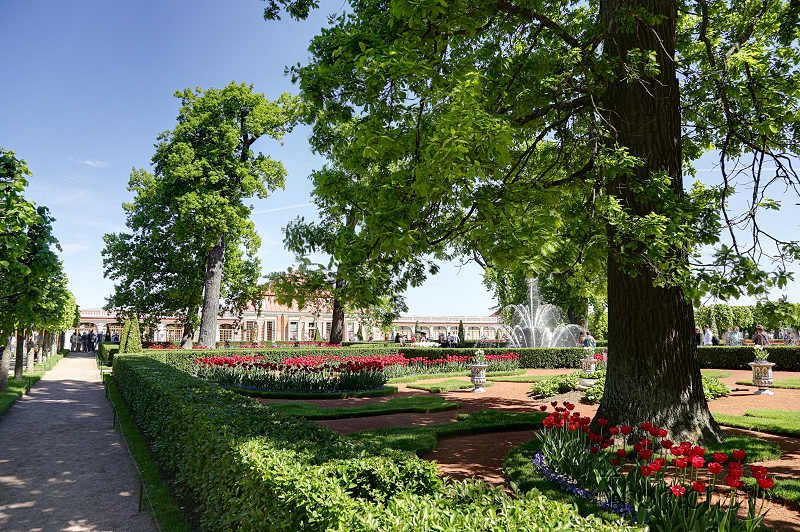 reportage photo 2018 russie saint petersbourg petrograd architecture peterhof pierre le grand palais palace parc monplaisir jardin garden fleurs
