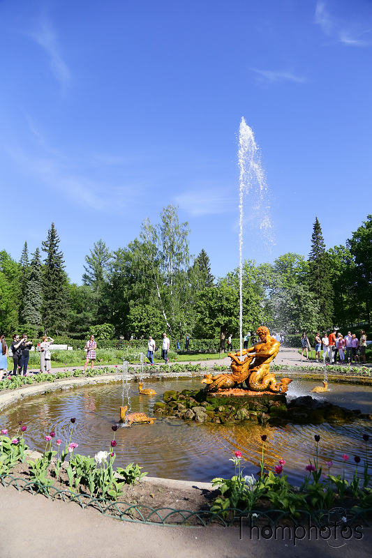 reportage photo 2018 russie saint petersbourg petrograd architecture peterhof pierre le grand palais palace parc jardin garden fontaine