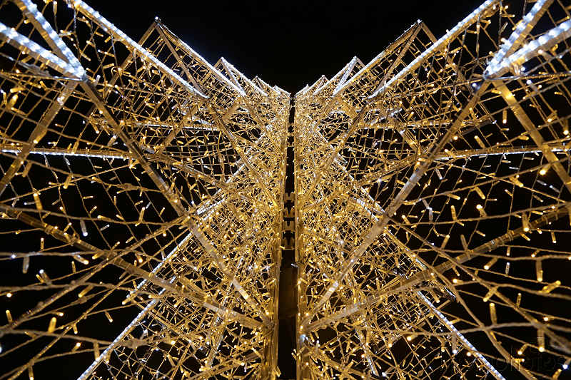 reportage photo hiver noël christmas xmas france brive winter décorations illuminations sapin pine tree lumière