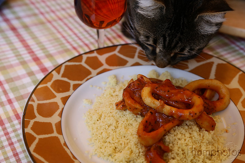 cuisine cooking calamar squid taboulé chat cat gourmand pouill' pouill'pouille fripouille