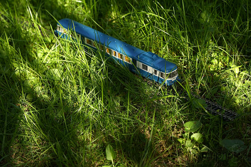 maquettes modèles réduits scale models véhicule modélisme ferroviaire train locomotive wagon voyageur voiture car HO miniature roco 1/87 jardin garden nature herbe grass campagne bleu d'auverge x2800 autorail