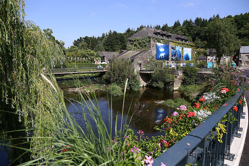 nature bretagne britain france festival photo la gacilly saint-malo st saint malo cité corsaire pirate city japon japan étang plan d'eau water pond