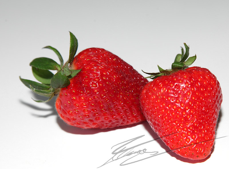 nature fruit fraise rouge duo