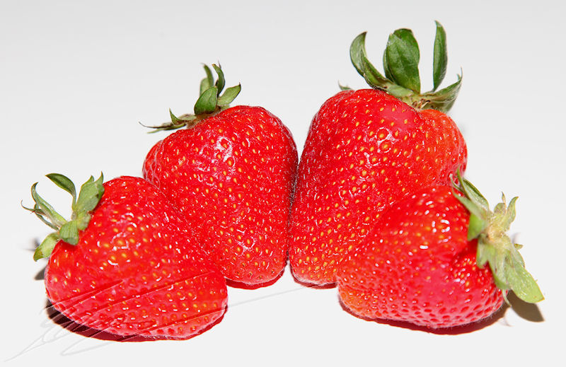 nature fruit fraise rouge demi cercle