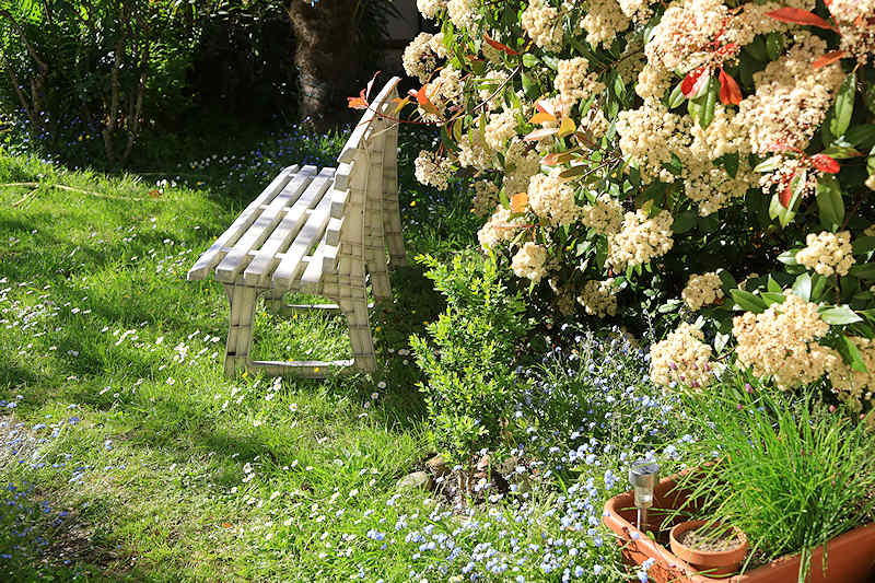 macro nature printemps été spring summer fleur flower jardin banc bench garden herbe grass green vert