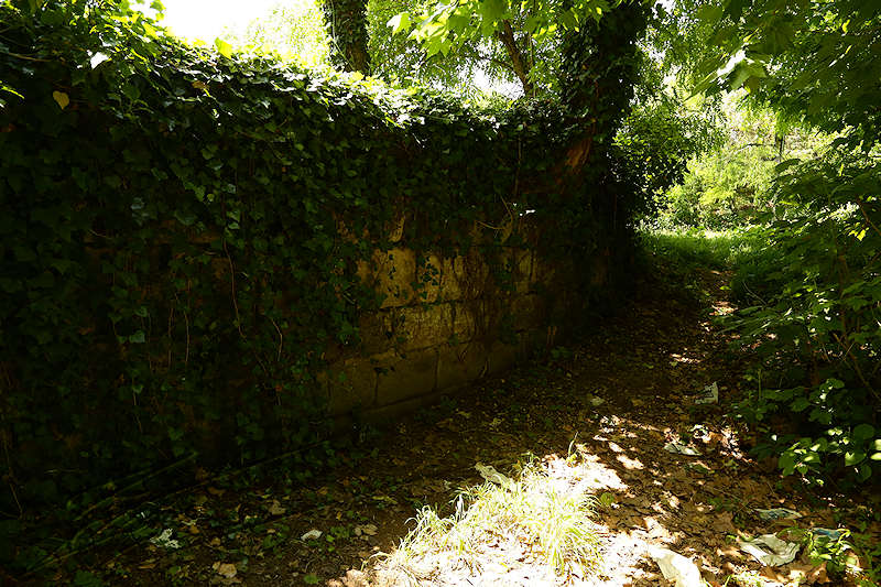 macro nature randonnée brive la gaillarde brive-la-gaillarde corrèze sud france soleil bonheur walk mur wall pierre rock old vieux