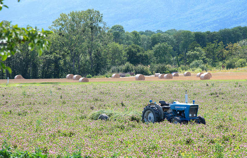 paysage versoix campagne tracteur trèfle récolte ramassage