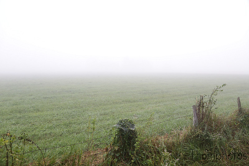 paysage landscape france campagne countryside brume fog mist saint aulaire matin morning
