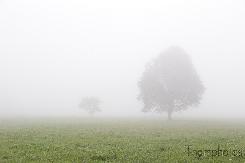 paysage landscape france campagne countryside brume fog mist saint aulaire matin morning