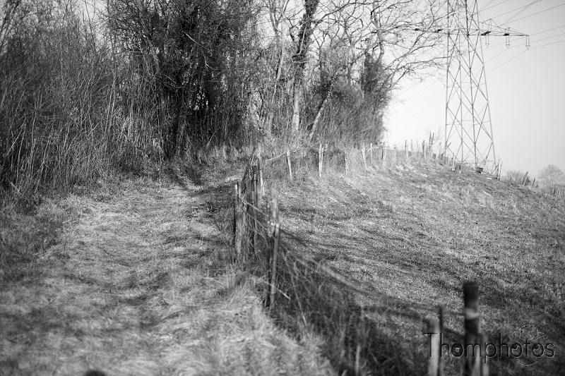 chemin paille noir et blanc pylone herbe foin