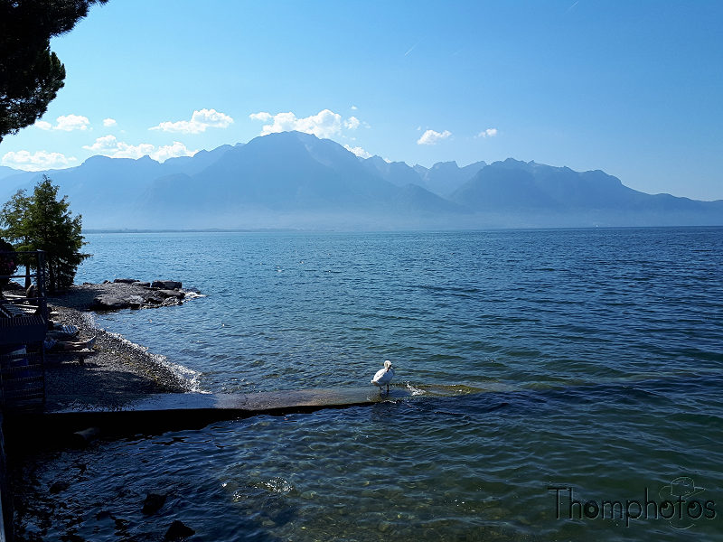 paysage landscape lac léman de genève geneva's lake montreux pointe du lac suisse bleu été water eau