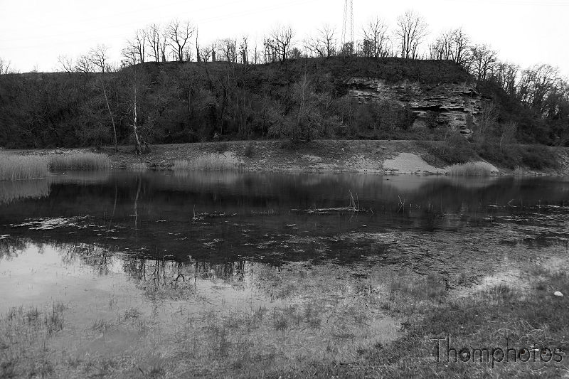 paysage landscape russin suisse swiss noir et blanc black and white étang pond