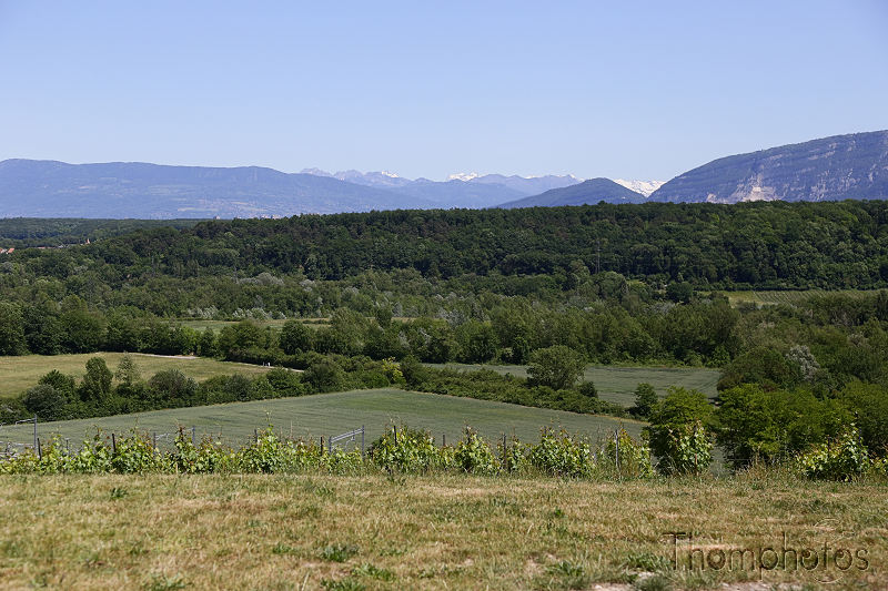 paysage landscape russin suisse swiss route road path chemin vignes montagnes mountain vignes wine