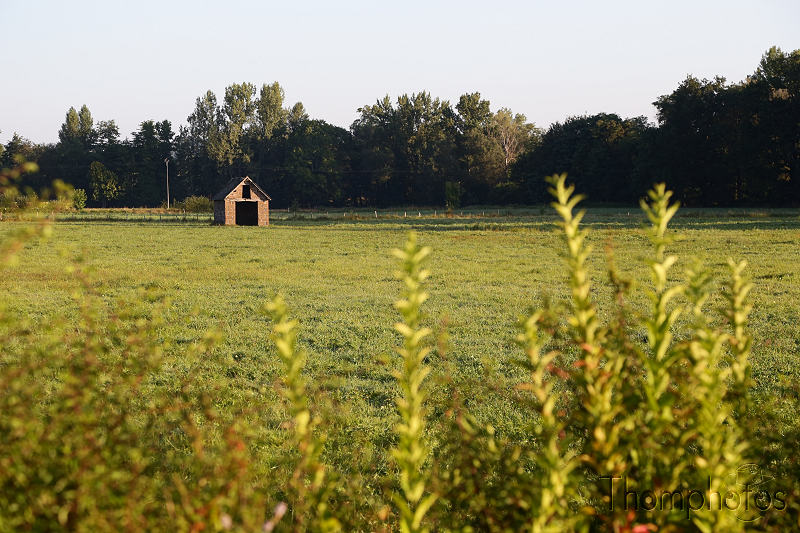 paysage landscape france campagne countryside saint aulaire matin morning maison vache house cow meuh champs pré