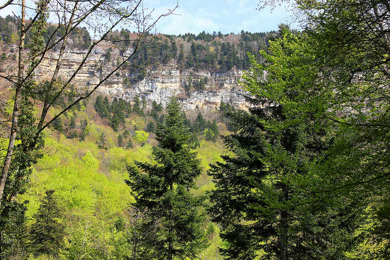 paysage verdure du salève montagne suisse france printemps vert canada