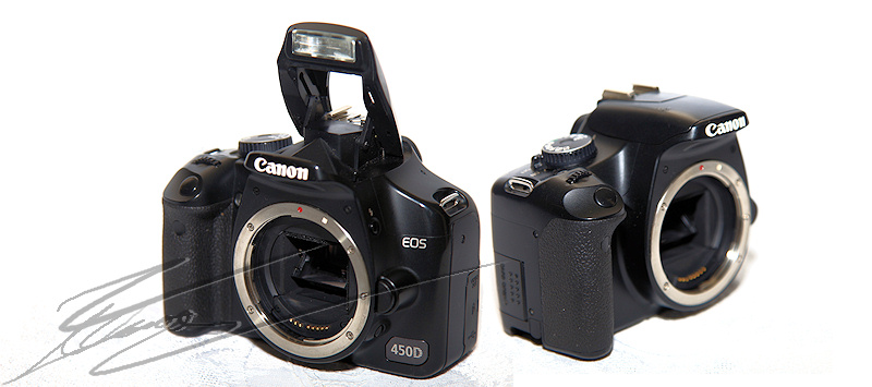 Canon EOS 450D 450 D APS-C aps c apsc review test photo porn porno camera body boitier nu