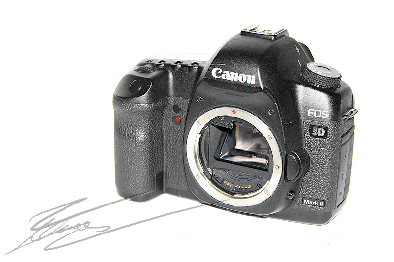 Canon EOS 5d mark II 5DII 2 review test photo porn porno camera body boitier nu