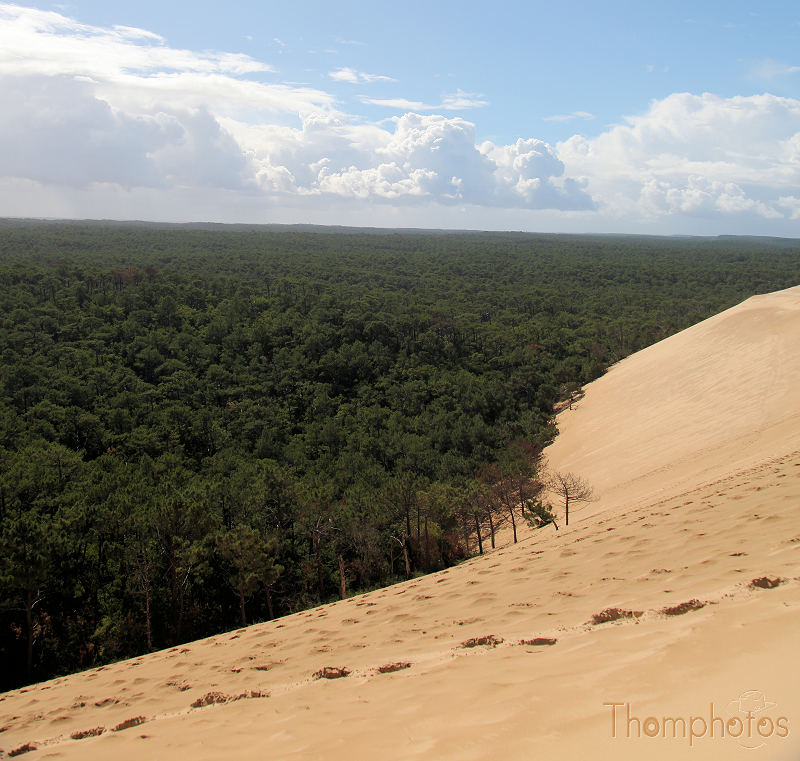 reportage paysage arcachon dune du pilat pyla sable forêt