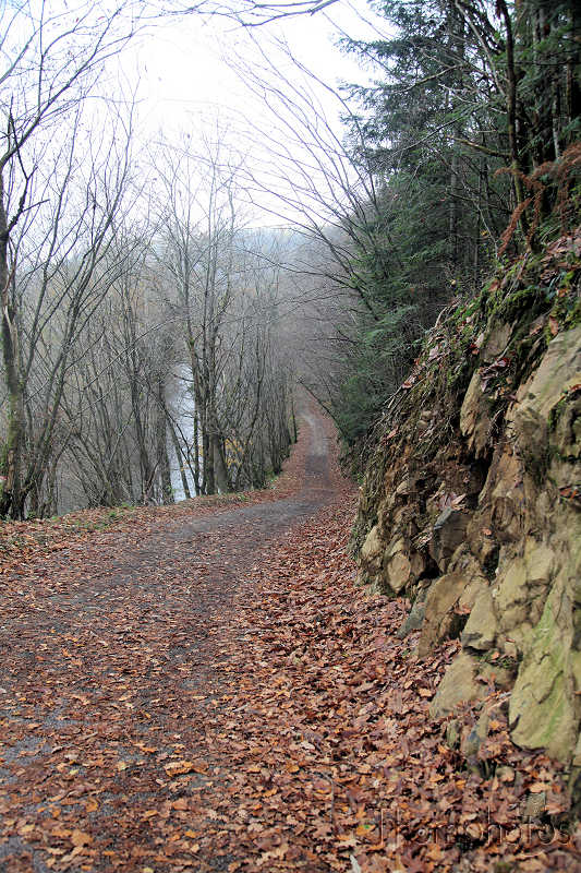 chemin Corrèze automne