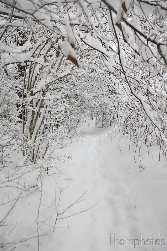 reportage paysage froid versoix neige glace flocon cristaux blanc Chemin poudreux poudreuse
