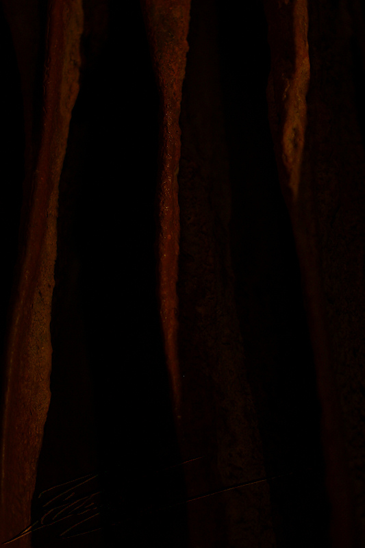 la fage turenne brive grotte gouffre spéléologie macro draperie