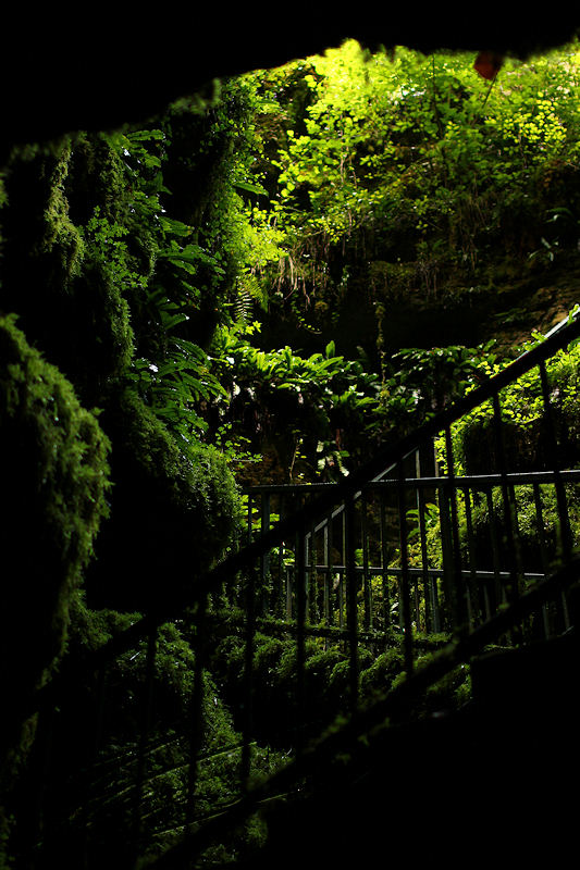 la fage turenne brive grotte gouffre spéléologie verdure escaliers stairs green vert entrée entrance