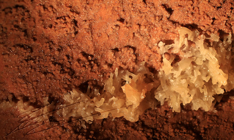 france lacave grotte concrétion calcaire calcite cristaux