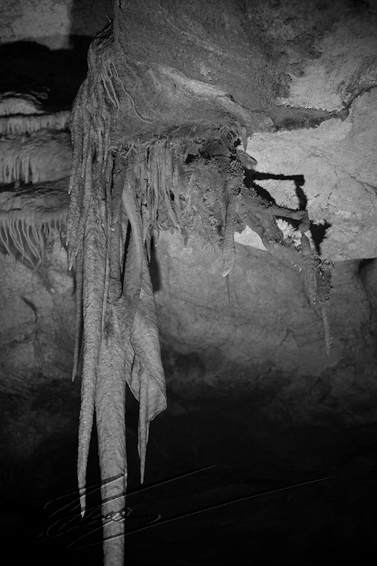france lacave grotte Griffes calcaire concrétion araignée de mer