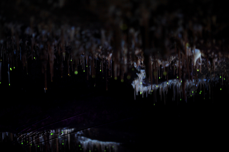 france lacave grotte calcaire concrétion stalactite luisante mumière noire