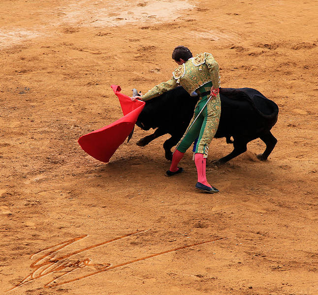 reportage pays basque retour taureau toréador matador corrida novillada muleta torero olé