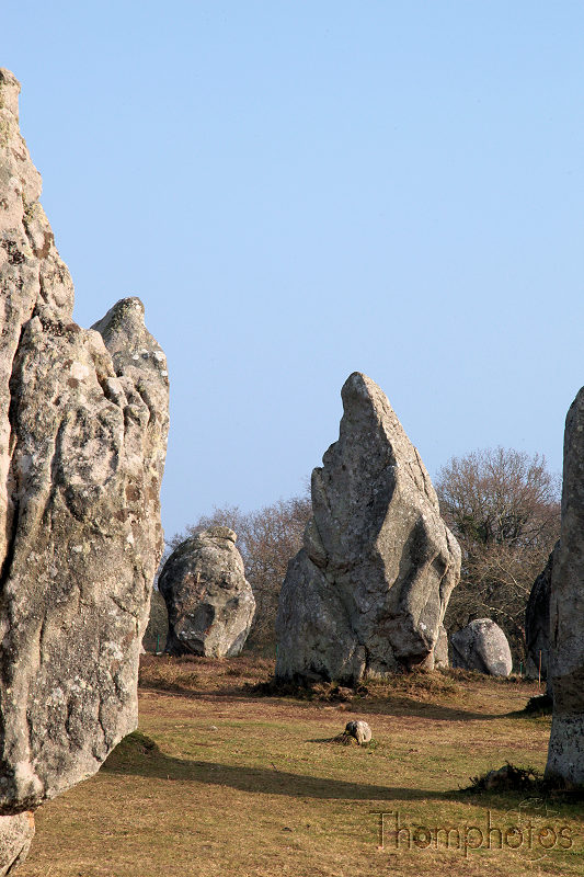 reportage 2012 bretagne sud breizh izel kenavo J5 jour 5 carnac alignement menhir pierre roche dressée 