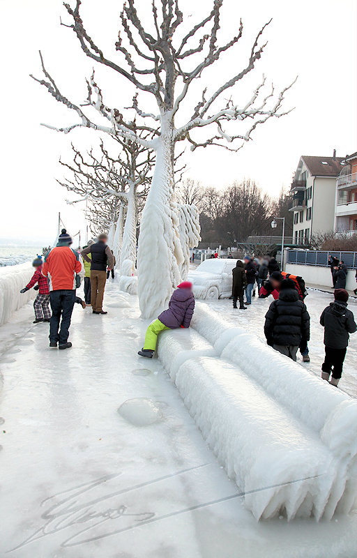 reportage versoix 2012 lac de genève léman gelé quai vent tempête gel glace -15°C 120km/h 120 km / h banc voiture arbre sculpture