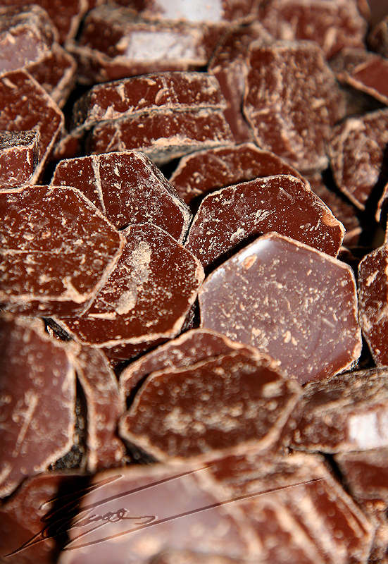 reportage 2012 chocolat choco chocolaterie rapp prangin artisan atelier pastille noir
