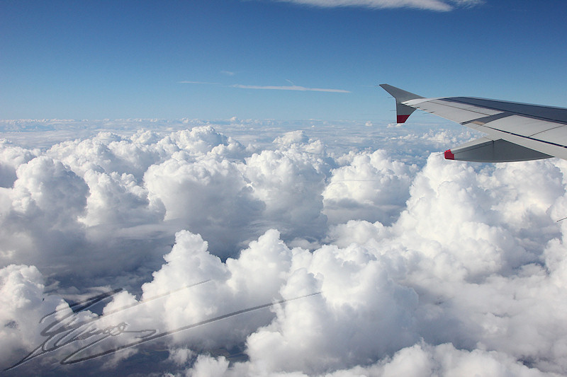 reportage 2013 usa USA Amérique america murika US avion vol au dessus d'un nid de coucou France nuage cloud aile plane décollage takeoff fly airbus A319