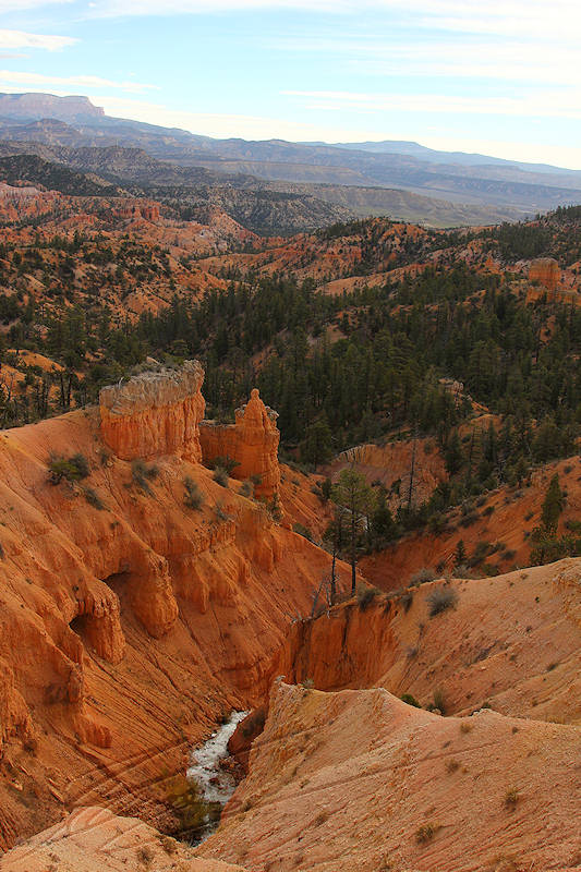 reportage 2013 usa USA Amérique america murika US Utah soleil sun landscape lumière paysage couleur rouge red désert Bryce Canyon route arrêt photo sable jaune ocre automne hauts plateaux altitude aride