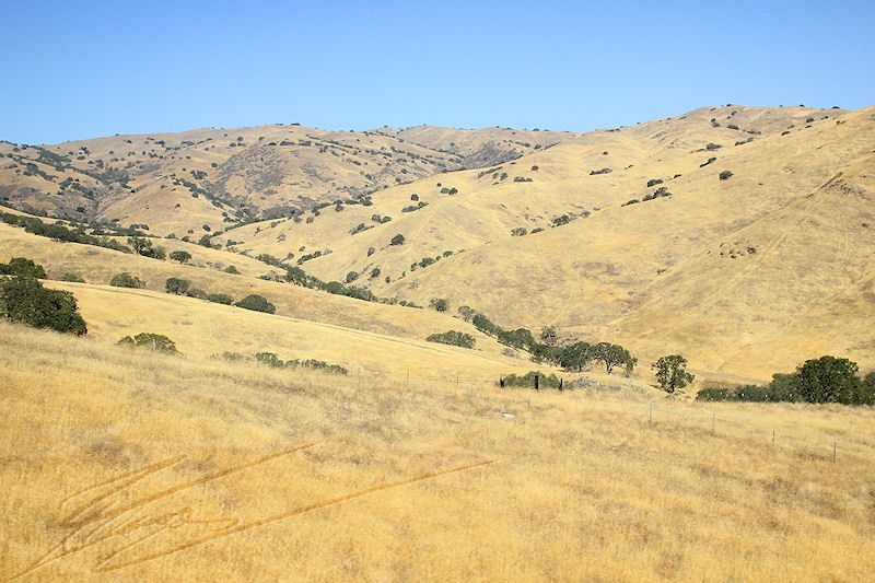 reportage 2013 usa USA Amérique america murika US californie désert paysage landscape on the road again sur la route jaune yellow color semi-arid half arid