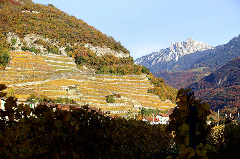 reportage 2014 suisse swiss valais vaud aigle lac léman de genève ville montagne mountain paysage landscape leysin panneau panel